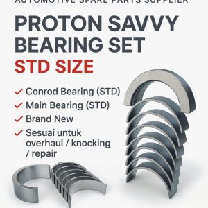 protonsavvyenginebearing